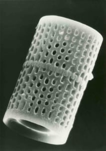 Single_Diatom_-_Large