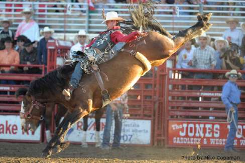 rodeo bronc